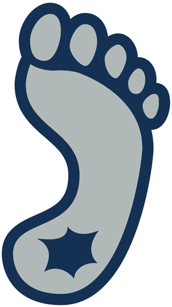 North Carolina Tar Heels 1999-2014 Alternate Logo v3 iron on transfers for fabric